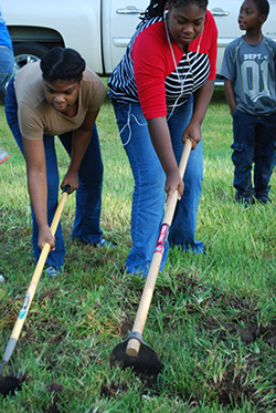 Chopping grass